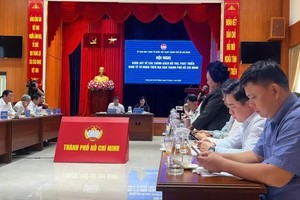 HCMC businesses urge faster implementation of private sector support policies