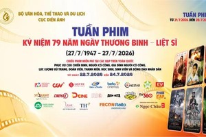 HCMC to offer free film screenings to mark War Invalids and Martyrs Day