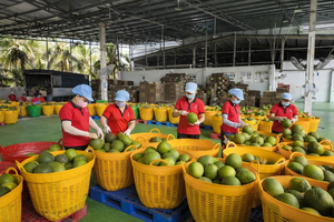 Vietnam urged to strengthen economic resilience while sustaining strong growth