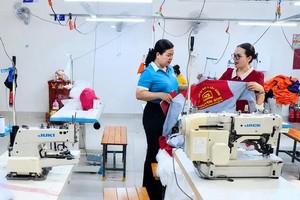 Livelihood support helps women rebuild their lives