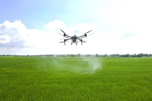 Technology transforms farming in Ho Chi Minh City’s rural communes