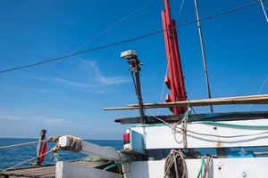 Ho Chi Minh City proposes subsidies for fishing vessel tracking devices