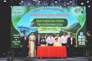 Dak Lak holds first orchard durian auction to boost market transparency