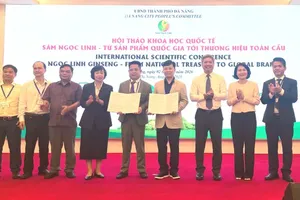 Ngoc Linh ginseng sets sights on global brand recognition