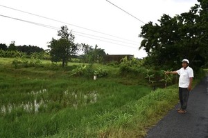 Expressway expansion blocks irrigation, leaving fields idle in Tay Ninh