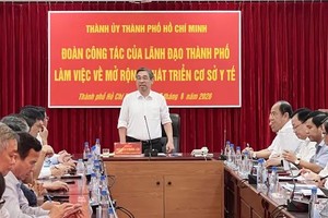 Ho Chi Minh City Deputy Secretary directs wider space for healthcare development