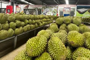 Durian exports aim for US$4 billion in 2026