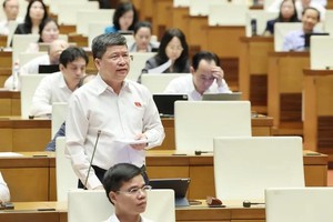 NA deputies urge safeguard for residents' livelihoods in land law amendments