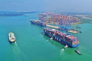 Seaport profits surge as trade growth supports positive second-half outlook