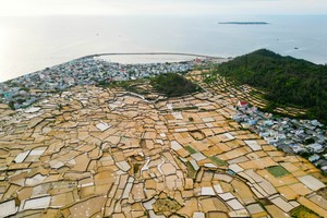 Ly Son’s ancient heritage nurtures famed shallot and garlic tradition