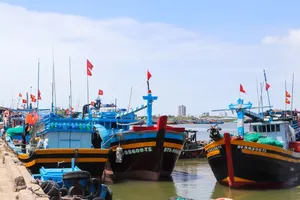 Ho Chi Minh City steps up efforts to combat illegal fishing