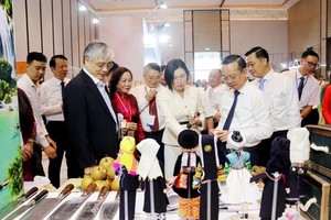 Ho Chi Minh City, Northern localities strengthen economic ties