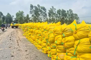 Falling rice prices bring losses in summer-autumn crop