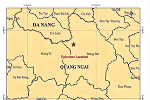 Four earthquakes rattle Da Nang and Quang Ngai, no damage reported