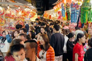 Cho Lon lantern street lights up Ho Chi Minh City for Mid-Autumn Festival