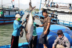 Vietnam’s maritime potential held back by infrastructure and planning gaps
