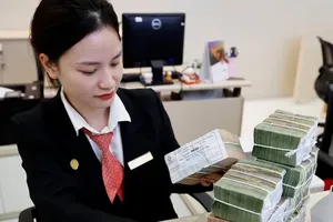 Nineteen commercial banks join preferential credit program worth VND409 trillion
