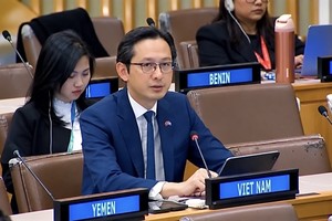 Vietnam, ASEAN highlight inclusive social development at UN