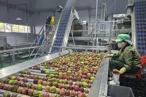Deep processing holds key to boosting agricultural export value