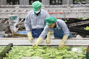 Vietnam eyes double-digit growth on FDI, investment