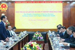 German, Vietnamese firms sign wood processing venture in Gia Lai