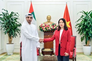 Vietnam, UAE hold third political consultation between foreign ministries