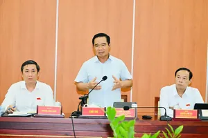 Ho Chi Minh City master plan should develop strengths of each area