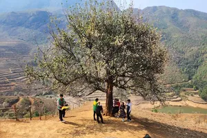 Vietnamese travelers find greatest joy in family trips