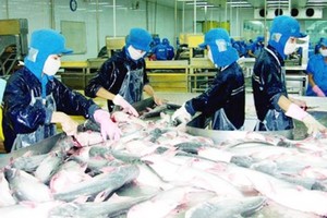 US will create favorable condition for Vietnam’s pangasius export
