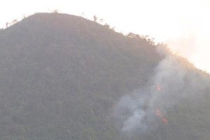 Protective forest fire in Thai Nguyen province (Photo:VNA)