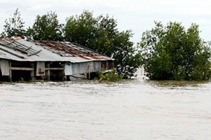 Flooding will early occur in the Mekong Delta region