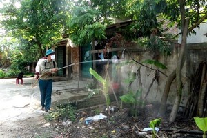 The Department of Preventive Medicine under the Ministry of Health has proposed measures to prevent diseases during the rainy season. (Photo baovinhphuc.vn)