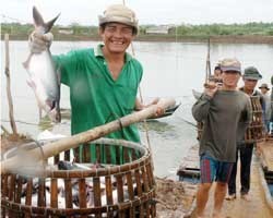 Illustrative photo:SGGP