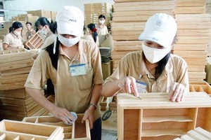 Illustrative photo:SGGP