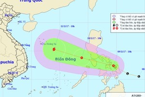 Tropical depression will enter the East Sea on November 10