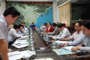 Central coastal provinces actively deal with typhoon Haikui