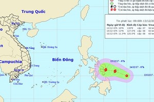 Tropical low pressure system appears in the East Sea (Photo:NHMFC)