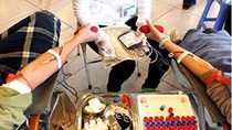 Over 1,000 students donate blood in Hue city