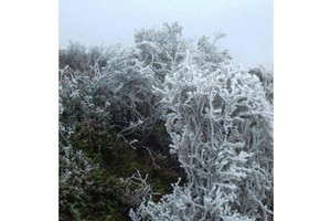 Frost covers Mau Son Mountain Peak and and Mau Son Tourism Site