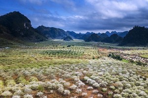 (Illustrative photo:VNA)