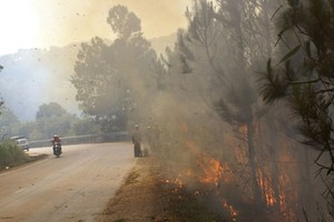Vegetation fire occurs along Prenn Pass near Da Lat city (illustrative photo:SGGP)