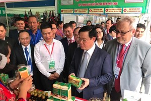 The 2019 trade promotion fair for cooperatives is opened at opened at Hoa Lu Sports Center