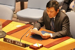 Ambassador Dang Dinh Quy, head of Vietnam’s permanent mission to the United Nations (Photo: VNA)