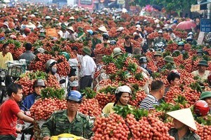 Illustrative image (Photo: phapluatplus.vn)