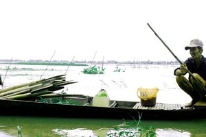 Mekong Delta should actively cope with flooding after downpours