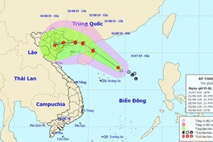 Tropical storm is expected to make landfall in Vietnam's North- Central provinces from Quang Ninh to Nam Dinh.