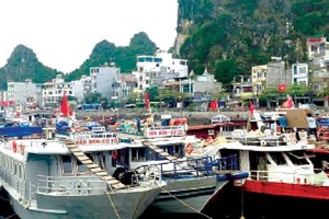 More than 1,200 off-shore fishing vessels move safe anchorage to avoid storm.