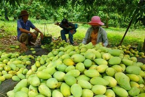 EU to strictly inspect Vietnamese agricultural products in September 