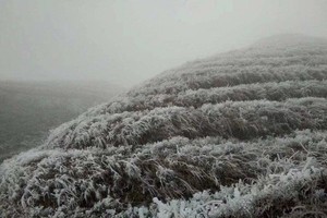 Ice, frost to reappear in Northern region from January, 2020