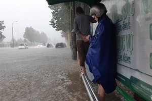 (Photo: Nghe An Newspaper)